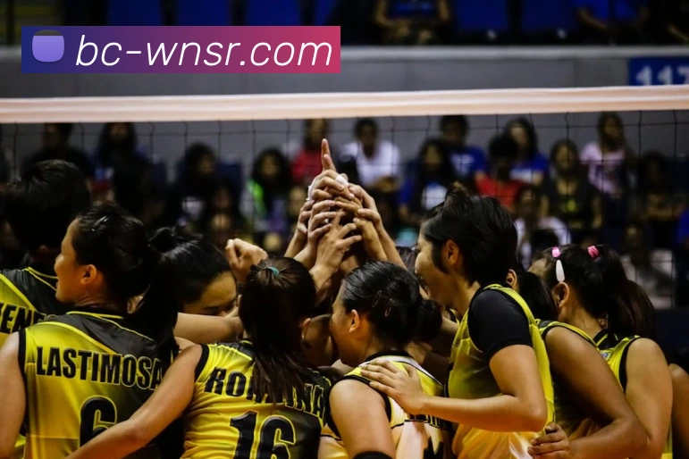 威尼斯人官网平台生态图